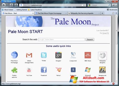 Ekraanipilt Pale Moon Windows 10